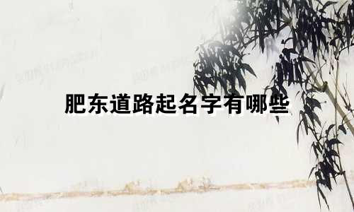 肥东道路起名字有哪些