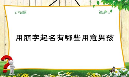 用丽字起名有哪些用意男孩