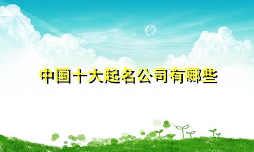 中国十大起名公司有哪些