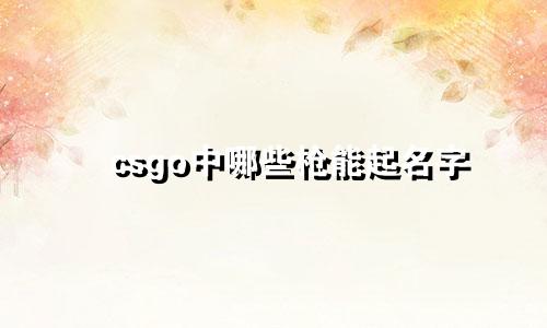 csgo中哪些枪能起名字