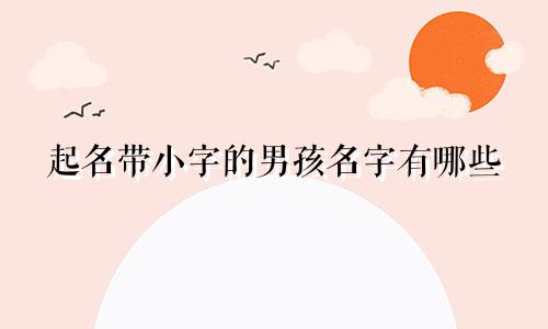 起名带小字的男孩名字有哪些