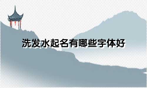 洗发水起名有哪些字体好