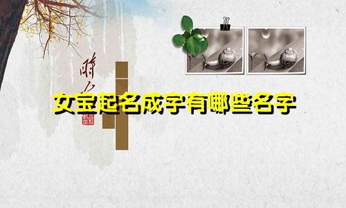 女宝起名成字有哪些名字