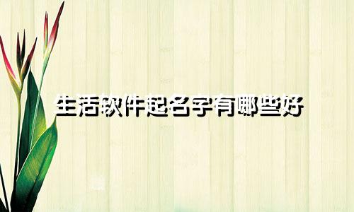 生活软件起名字有哪些好