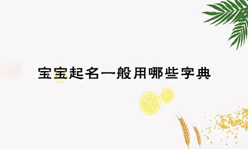 宝宝起名一般用哪些字典