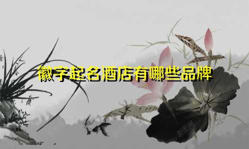 徽字起名酒店有哪些品牌