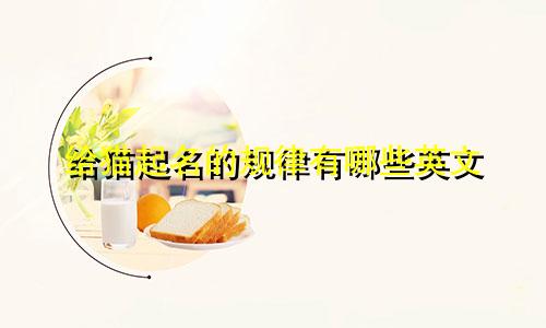 给猫起名的规律有哪些英文