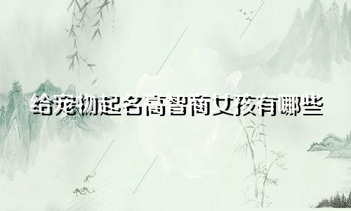 给宠物起名高智商女孩有哪些