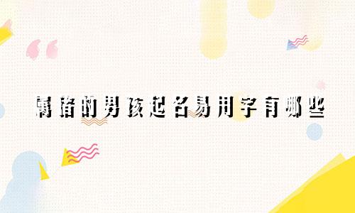 属猪的男孩起名易用字有哪些