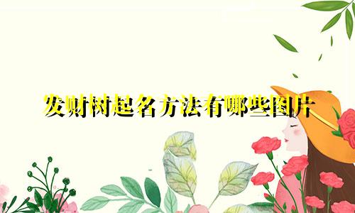 发财树起名方法有哪些图片