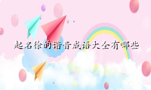 起名徐的谐音成语大全有哪些