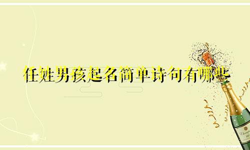 任姓男孩起名简单诗句有哪些