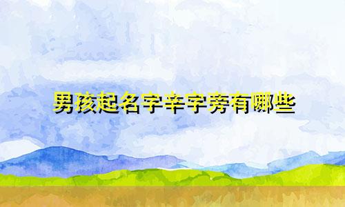 男孩起名字辛字旁有哪些