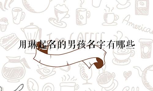 用琳起名的男孩名字有哪些