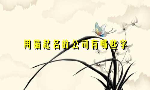 用猫起名的公司有哪些字