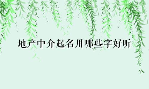 地产中介起名用哪些字好听