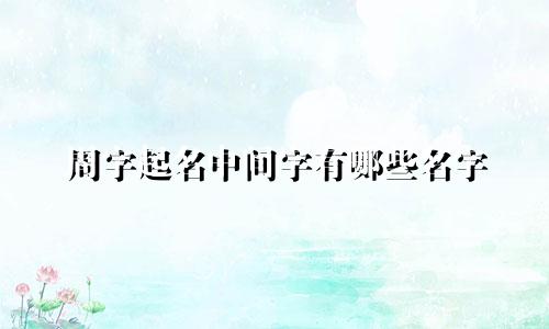 周字起名中间字有哪些名字
