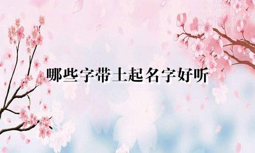 哪些字带土起名字好听