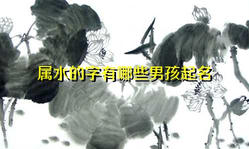 属水的字有哪些男孩起名
