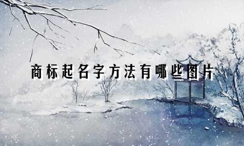 商标起名字方法有哪些图片