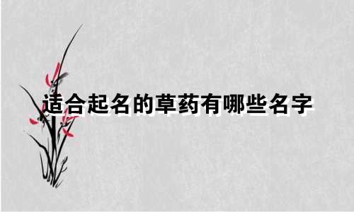 适合起名的草药有哪些名字