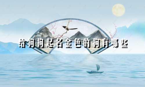 给狗狗起名金色的狗有哪些