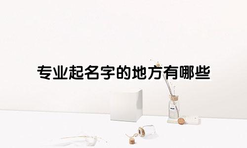 专业起名字的地方有哪些