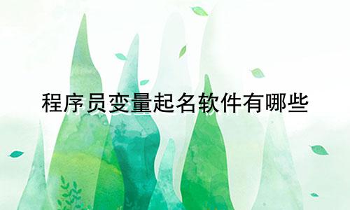 程序员变量起名软件有哪些