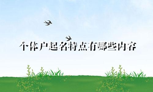 个体户起名特点有哪些内容