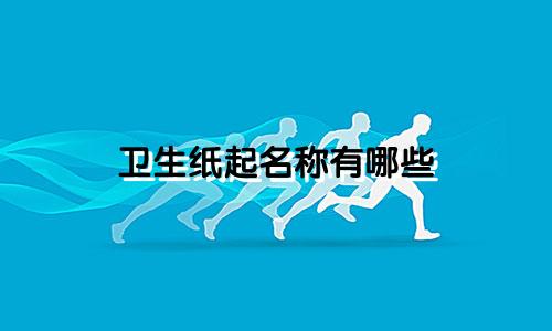 卫生纸起名称有哪些