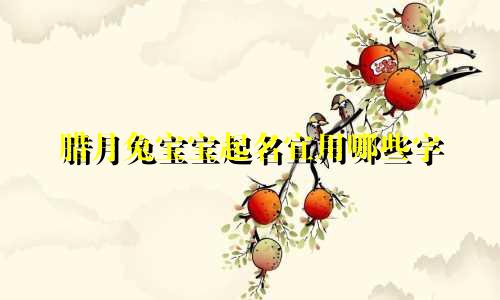 腊月兔宝宝起名宜用哪些字