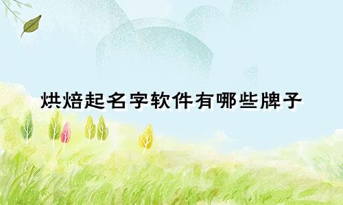 烘焙起名字软件有哪些牌子