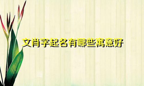 文肖字起名有哪些寓意好