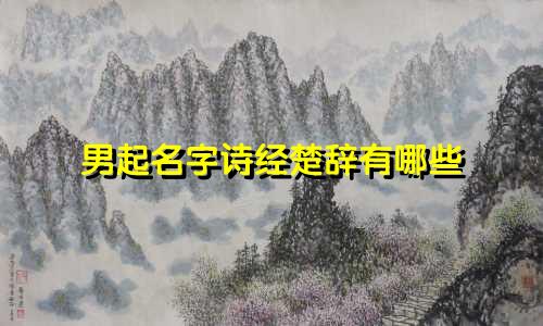 男起名字诗经楚辞有哪些