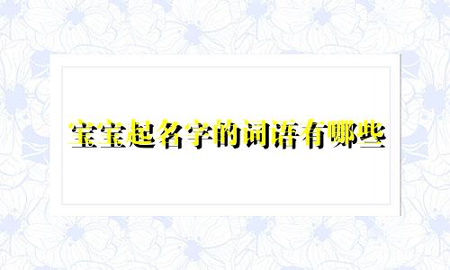 宝宝起名字的词语有哪些