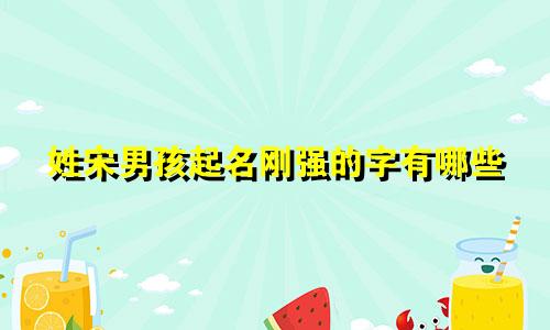 姓宋男孩起名刚强的字有哪些