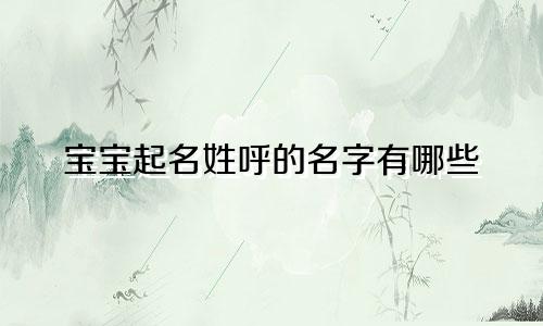 宝宝起名姓呼的名字有哪些