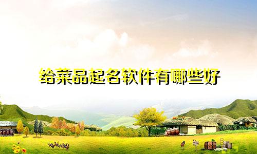 给菜品起名软件有哪些好