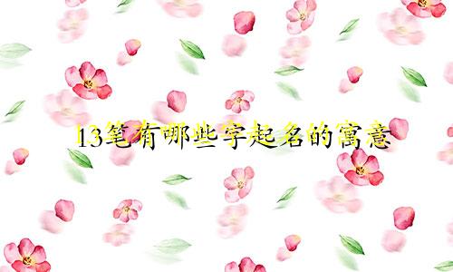 13笔有哪些字起名的寓意