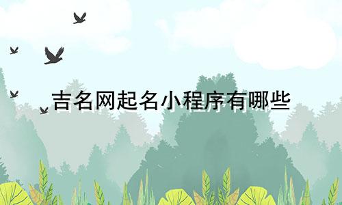 吉名网起名小程序有哪些