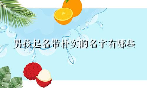 男孩起名带朴实的名字有哪些
