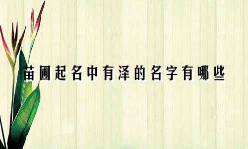 苗圃起名中有泽的名字有哪些