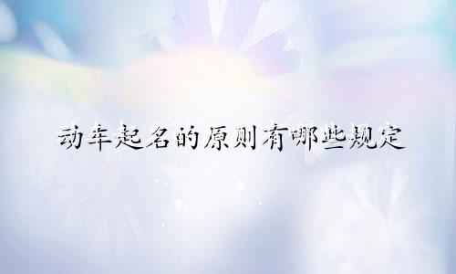 动车起名的原则有哪些规定
