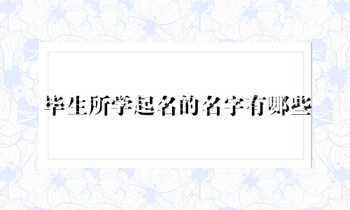 毕生所学起名的名字有哪些