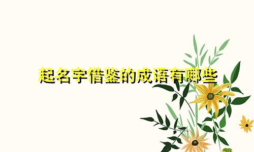 起名字借鉴的成语有哪些