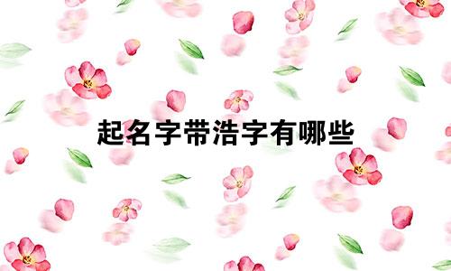 起名字带浩字有哪些