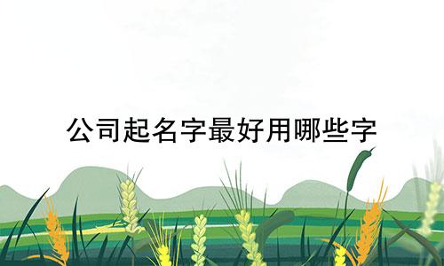 公司起名字最好用哪些字