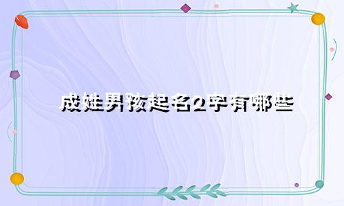 成姓男孩起名2字有哪些
