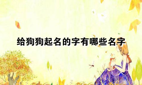 给狗狗起名的字有哪些名字