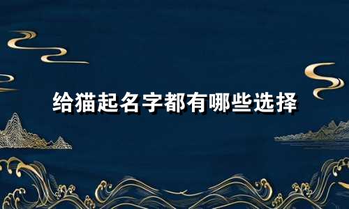 给猫起名字都有哪些选择
